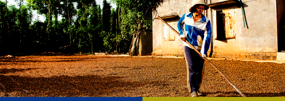 Enhancing livelihoods