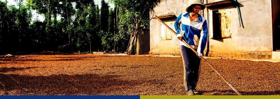 Enhancing livelihoods