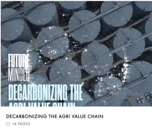 Future-minded decarbonizing