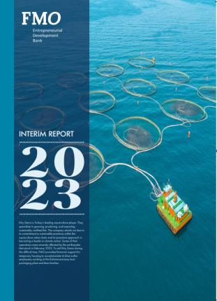 interim report 2023