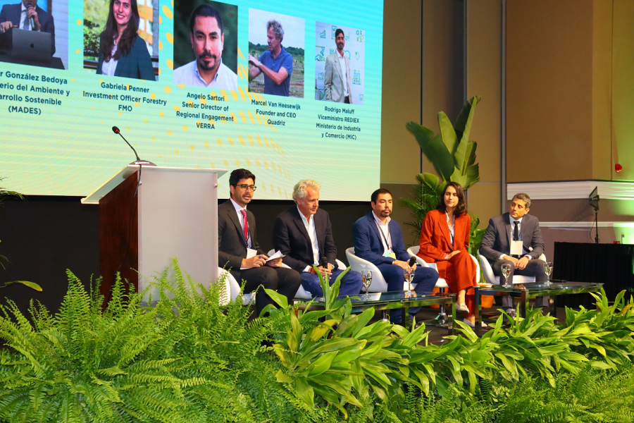 Paraguay roundtable