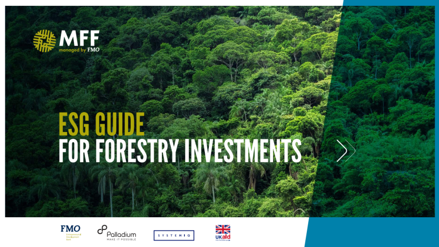 MFF cover ESG guide