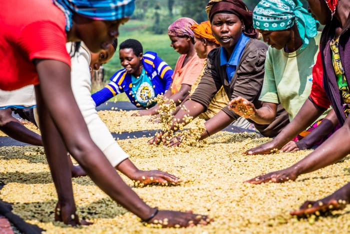 Sucafina Rwanda (2)