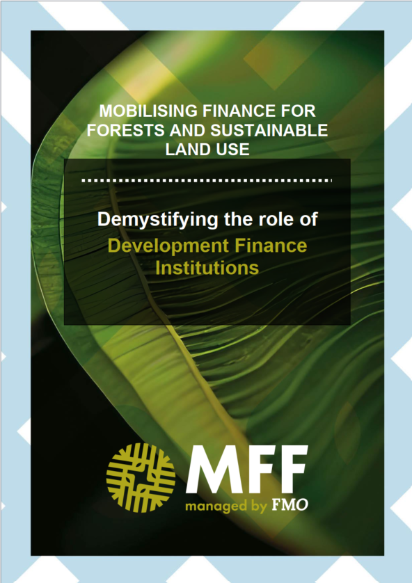 Demystifying the role DFI