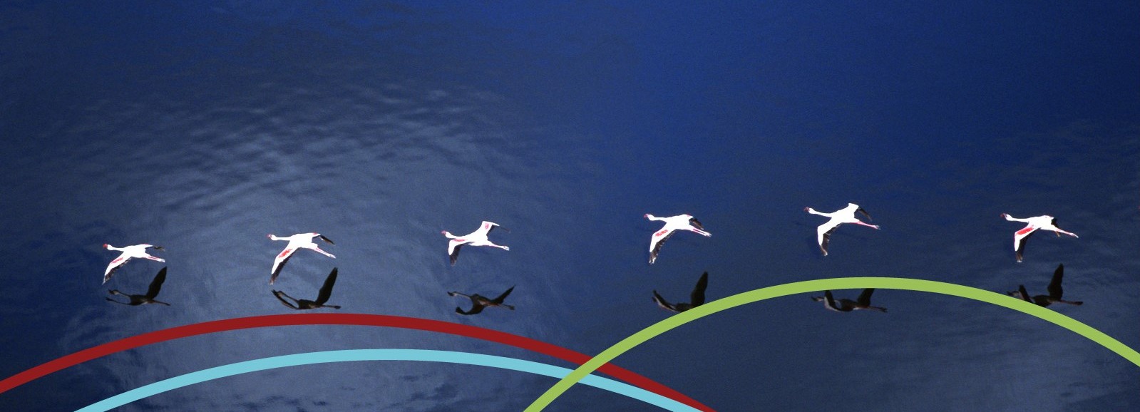 header2.jpg