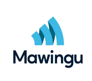 FINAL MAWINGU.png